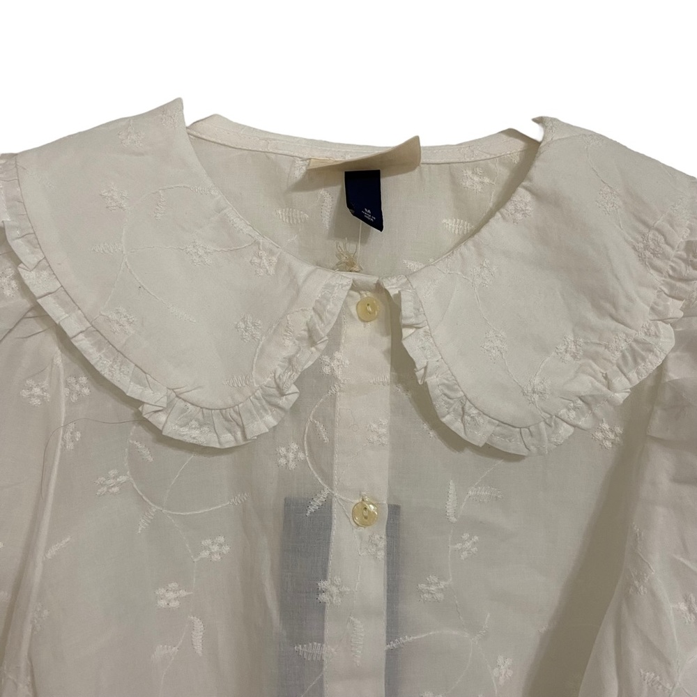 Universal Thread Long Puff Sleeve Button Down Embroidered Blouse